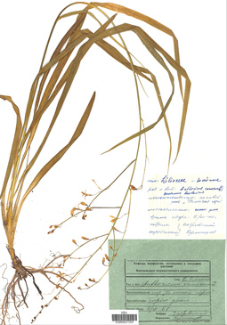 VOR 0027253