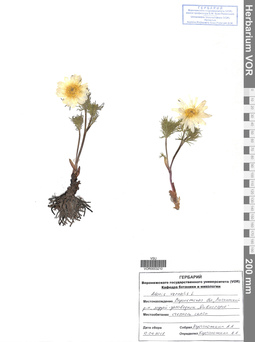VOR 0003210