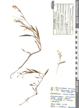 VOR 0002289