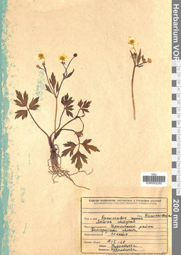 VOR 0002282