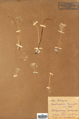 VOR 0025722
