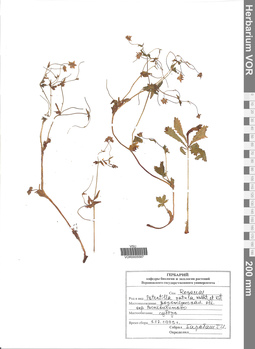 VOR 0005587