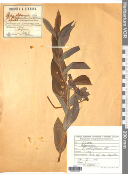 VOR 0026283