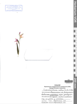 VOR 0024179