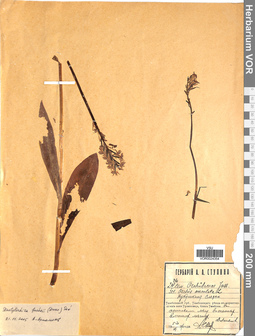 VOR 0024354
