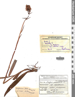 VOR 0024349