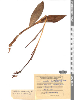 VOR 0024359