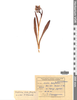 VOR 0024360