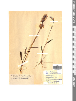 VOR 0024374
