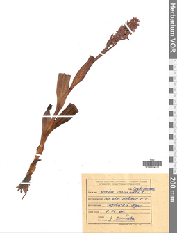 VOR 0024311