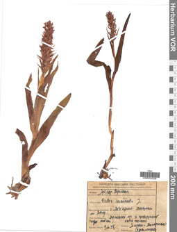 VOR 0024328
