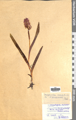 VOR 0024792