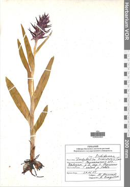 VOR 0024822