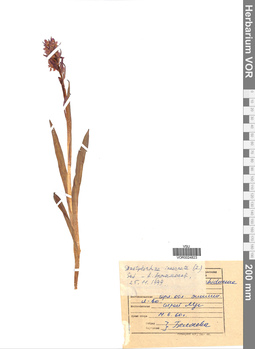VOR 0024823