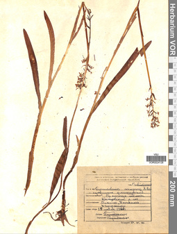 VOR 0024128