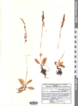 VOR 0024060