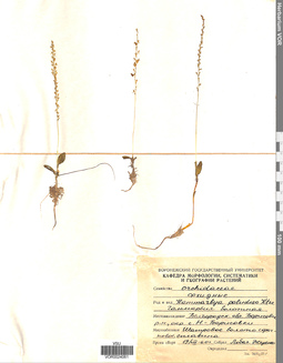 VOR 0024061