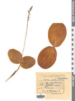 VOR 0024051