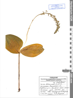 VOR 0024053