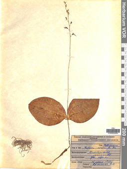 VOR 0024054