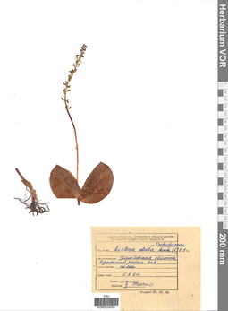 VOR 0024056