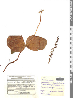 VOR 0024057