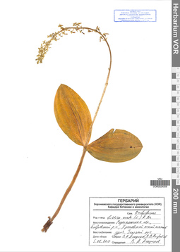 VOR 0024058