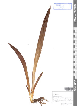 VOR 0023189