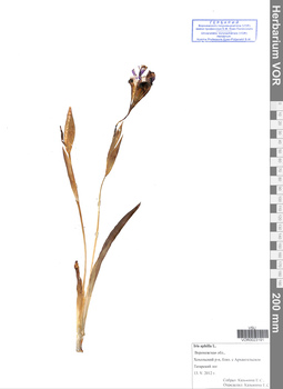 VOR 0023191
