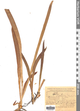 VOR 0023260