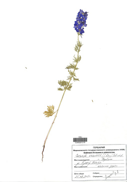 VOR 0001278