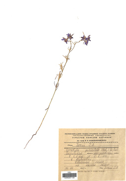 VOR 0001108