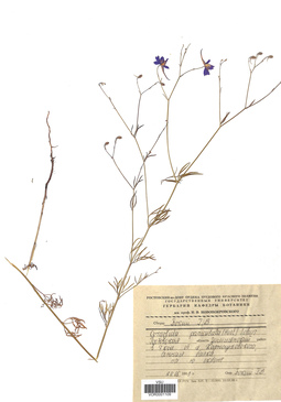 VOR 0001109