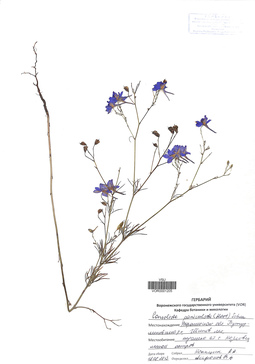 VOR 0001205