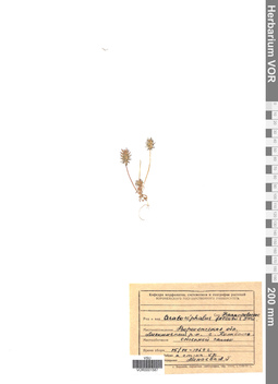 VOR 0001587
