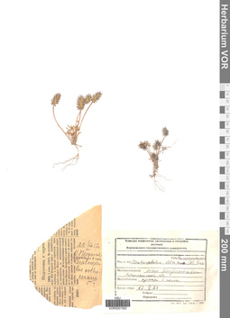 VOR 0001592
