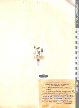 VOR 0001579