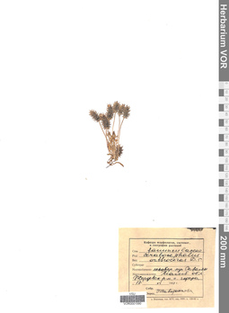 VOR 0001580