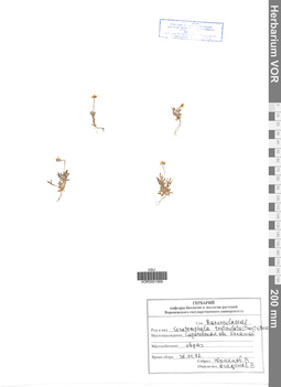 VOR 0001569