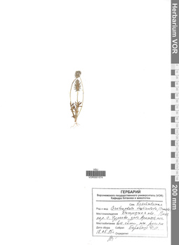 VOR 0001574