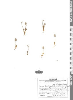 VOR 0001575