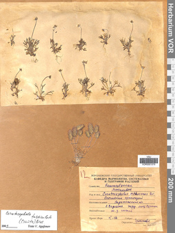 VOR 0001576