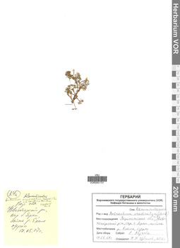 VOR 0001731