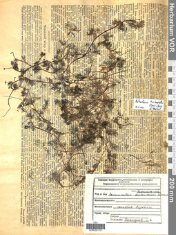 VOR 0001701