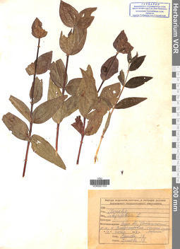 VOR 0001533