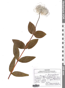 VOR 0001627
