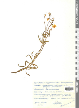VOR 0001773