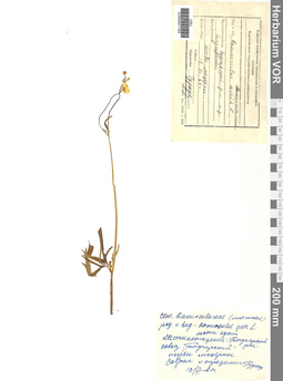 VOR 0001783