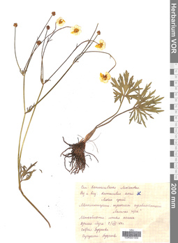 VOR 0001839