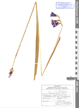 VOR 0024576